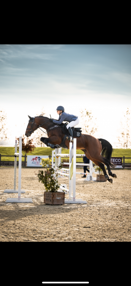 À vendre cheval de sport 