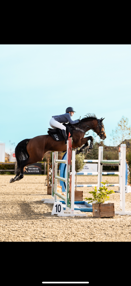 À vendre cheval de sport 