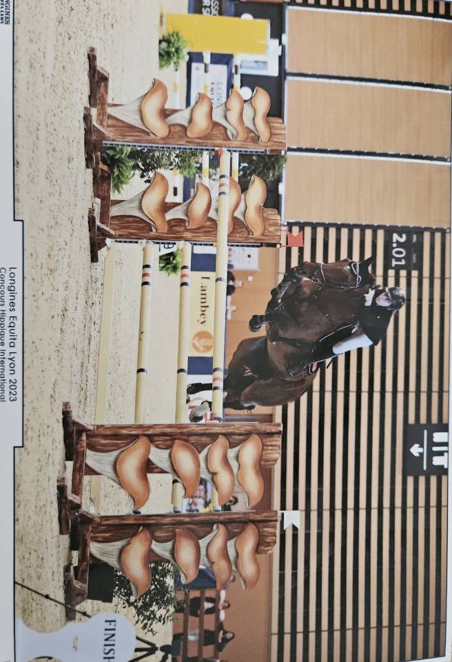 Hongre cso expérience 1m35