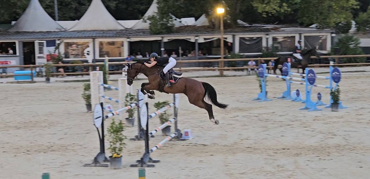 Hongre cso expérience 1m35