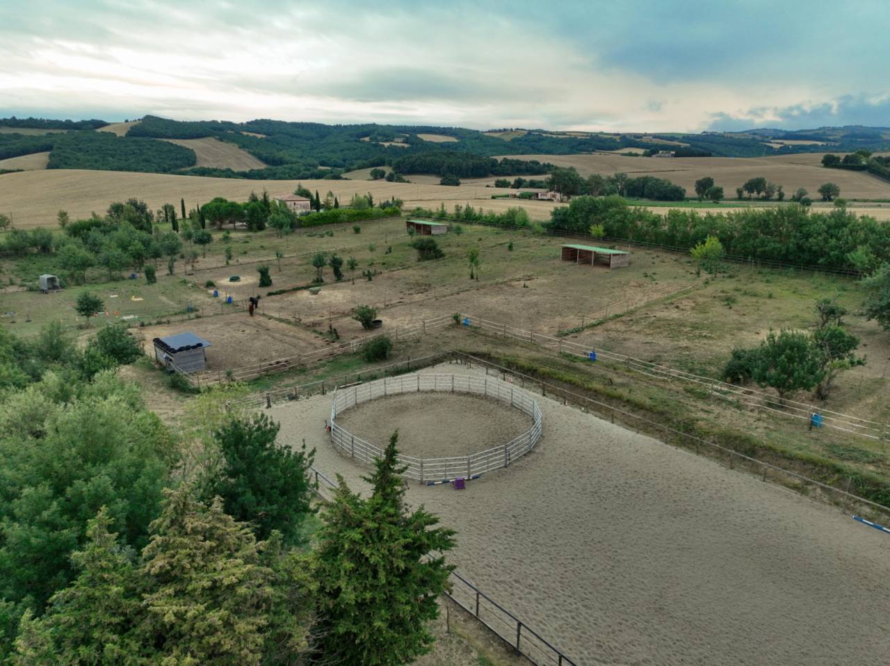 Débourrages - Centre d’Éducation et de Formation des Chevaux EquiMotion