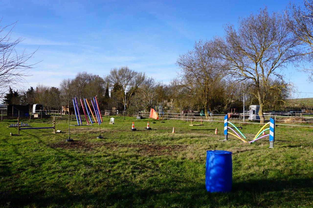 Débourrages - Centre d’Éducation et de Formation des Chevaux EquiMotion