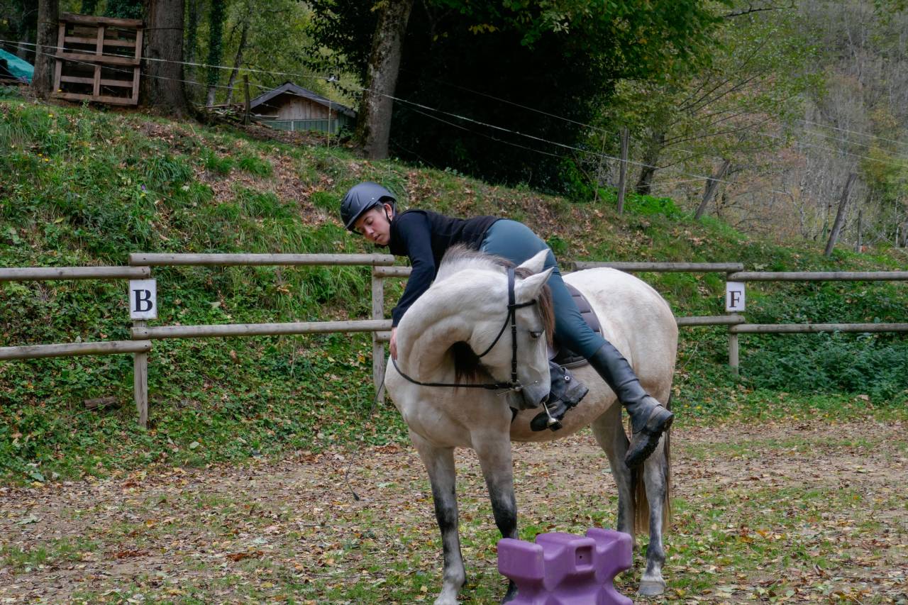 Débourrages - Centre d’Éducation et de Formation des Chevaux EquiMotion