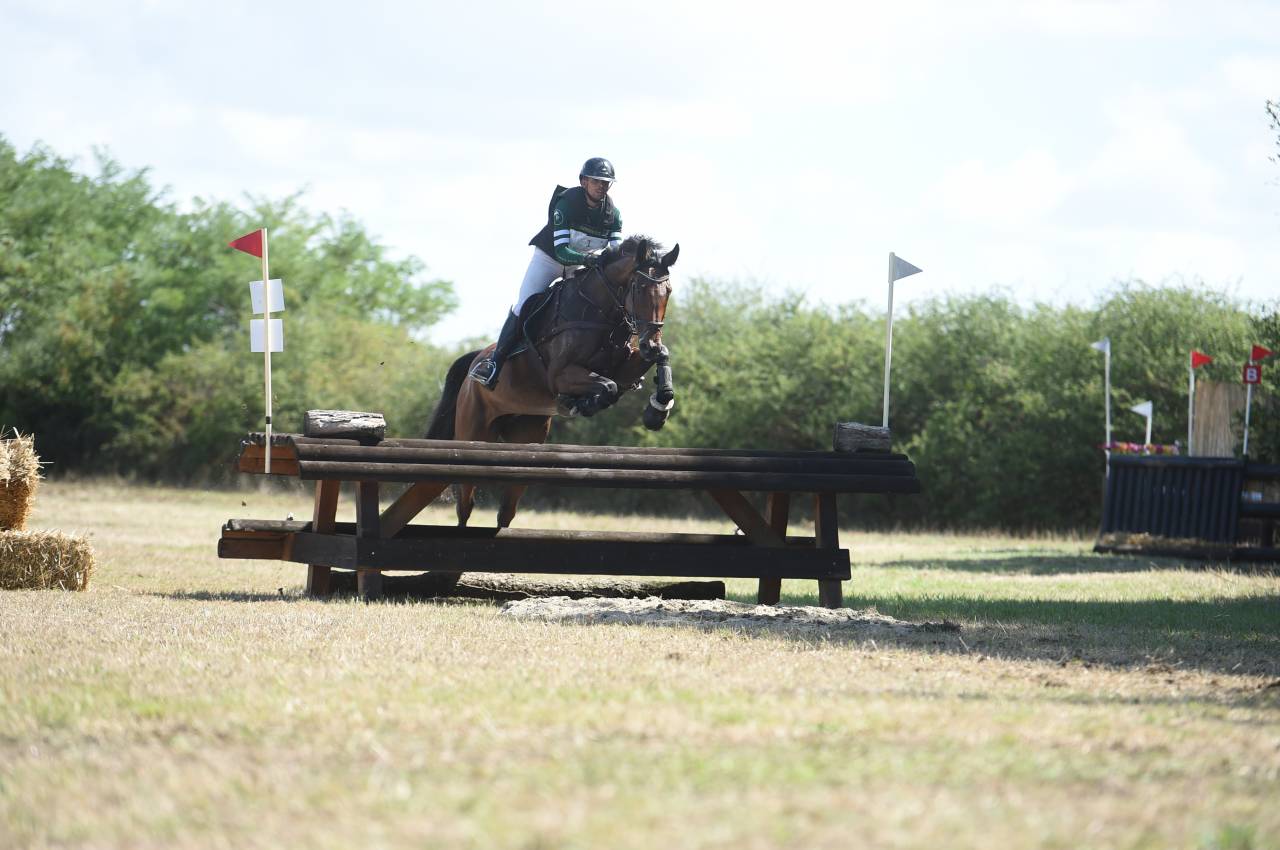 Grande jument SF 7ans CCE