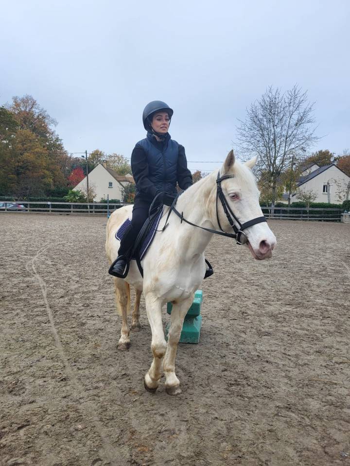 A vendre magnifique ponette D Connemara 