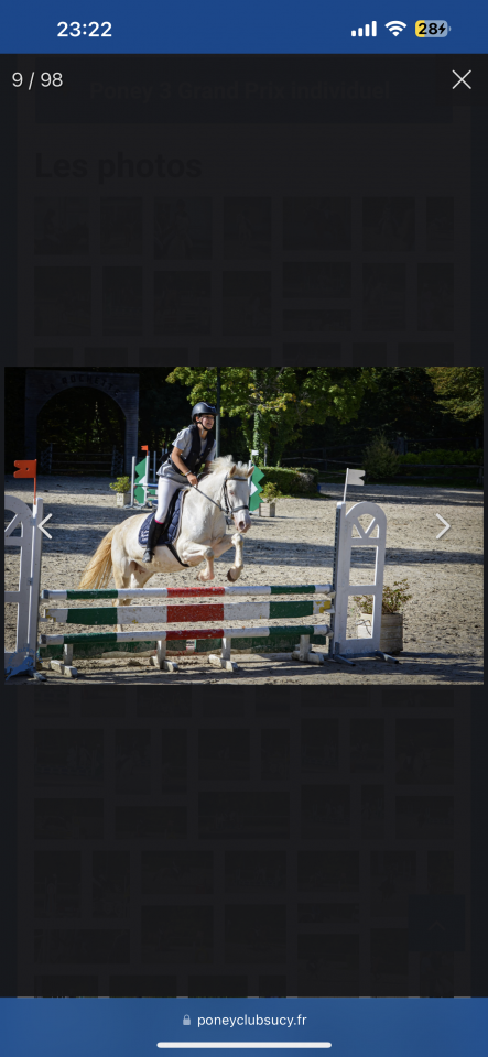 A vendre magnifique ponette D Connemara 