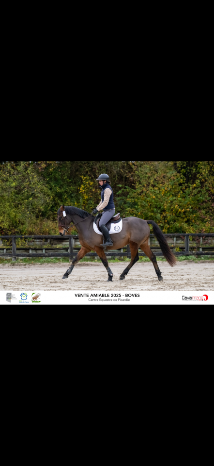 Pfs 4 ans par Thunder du blin