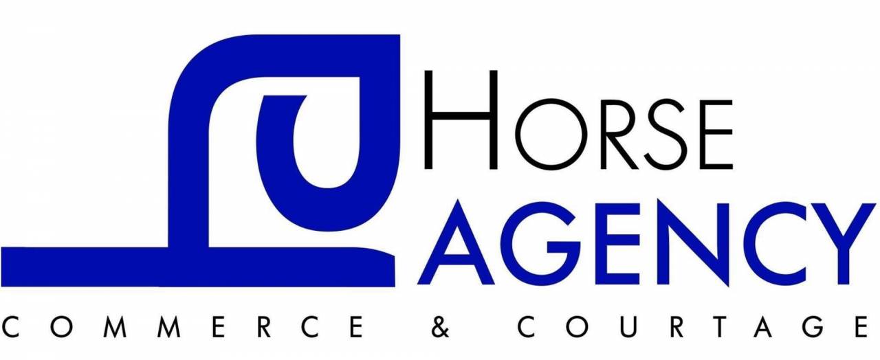 Horse Agency – Commerce & Courtage de Chevaux de Sport
