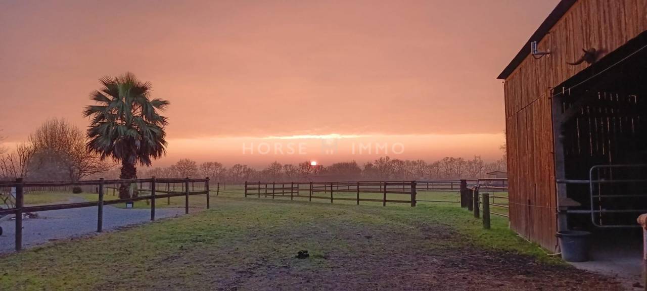 Propri&eacute;t&eacute; &Eacute;questre Cl&eacute; en Main - Cadre Id&eacute;al proche Ancen