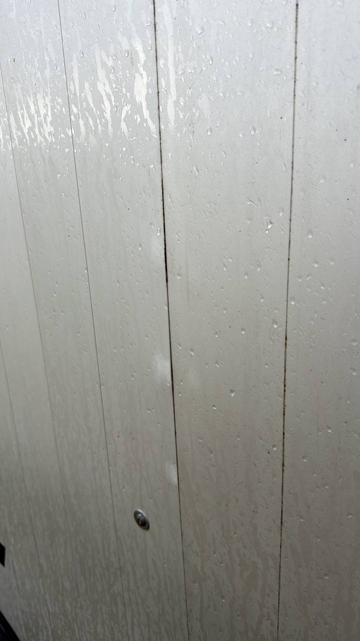 Van cheval liberté 4 places maxi 