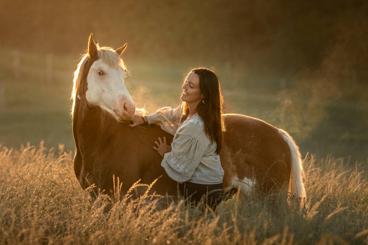 Poulain plein papier a vendre