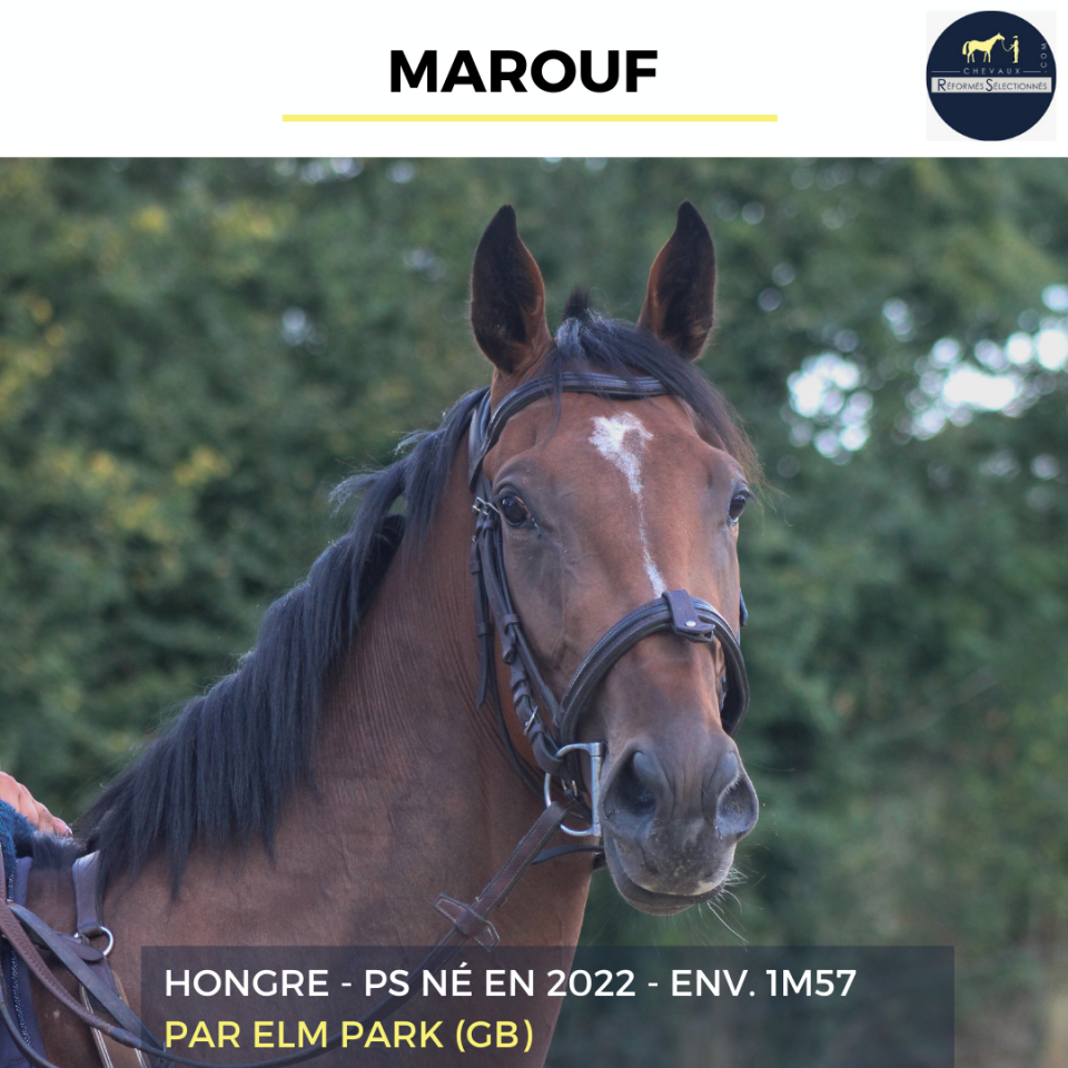 MAROUF - PS - 3 ANS