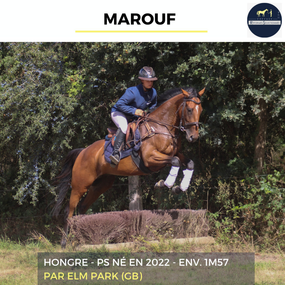 MAROUF - PS - 3 ANS