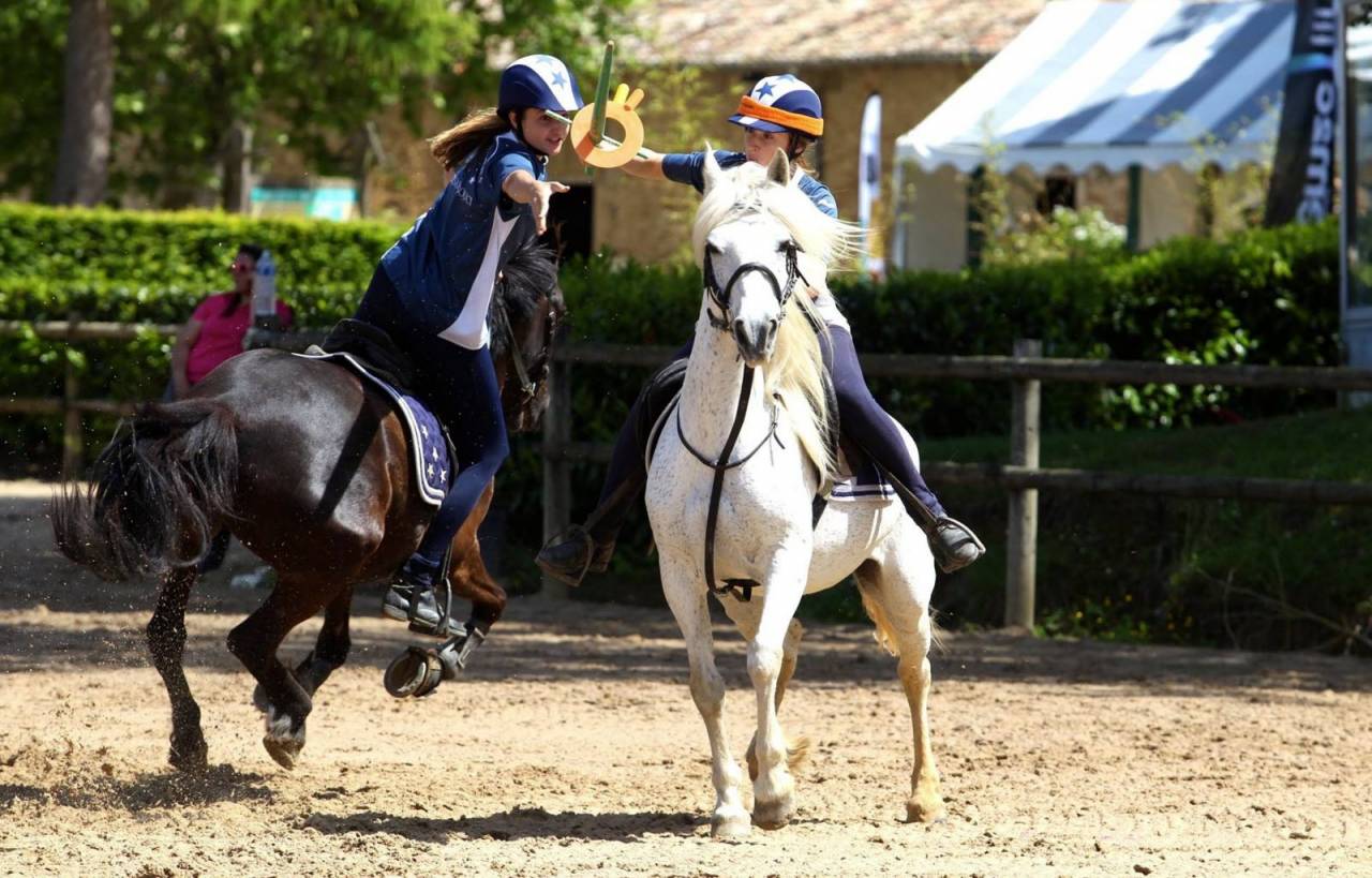 Offre d’emploi : Directeur(trice) de centre équestre