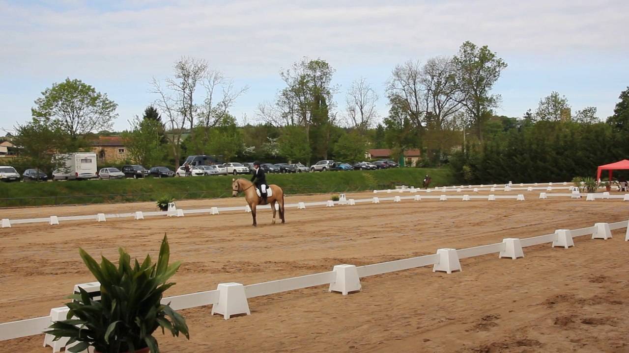 Offre d’emploi : Directeur(trice) de centre équestre