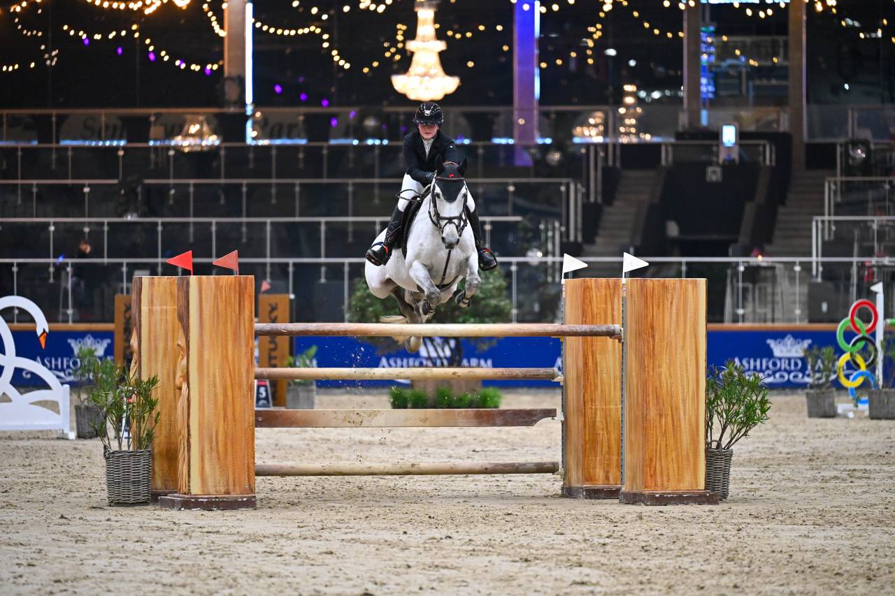 Hongre de 10 ans 140/145