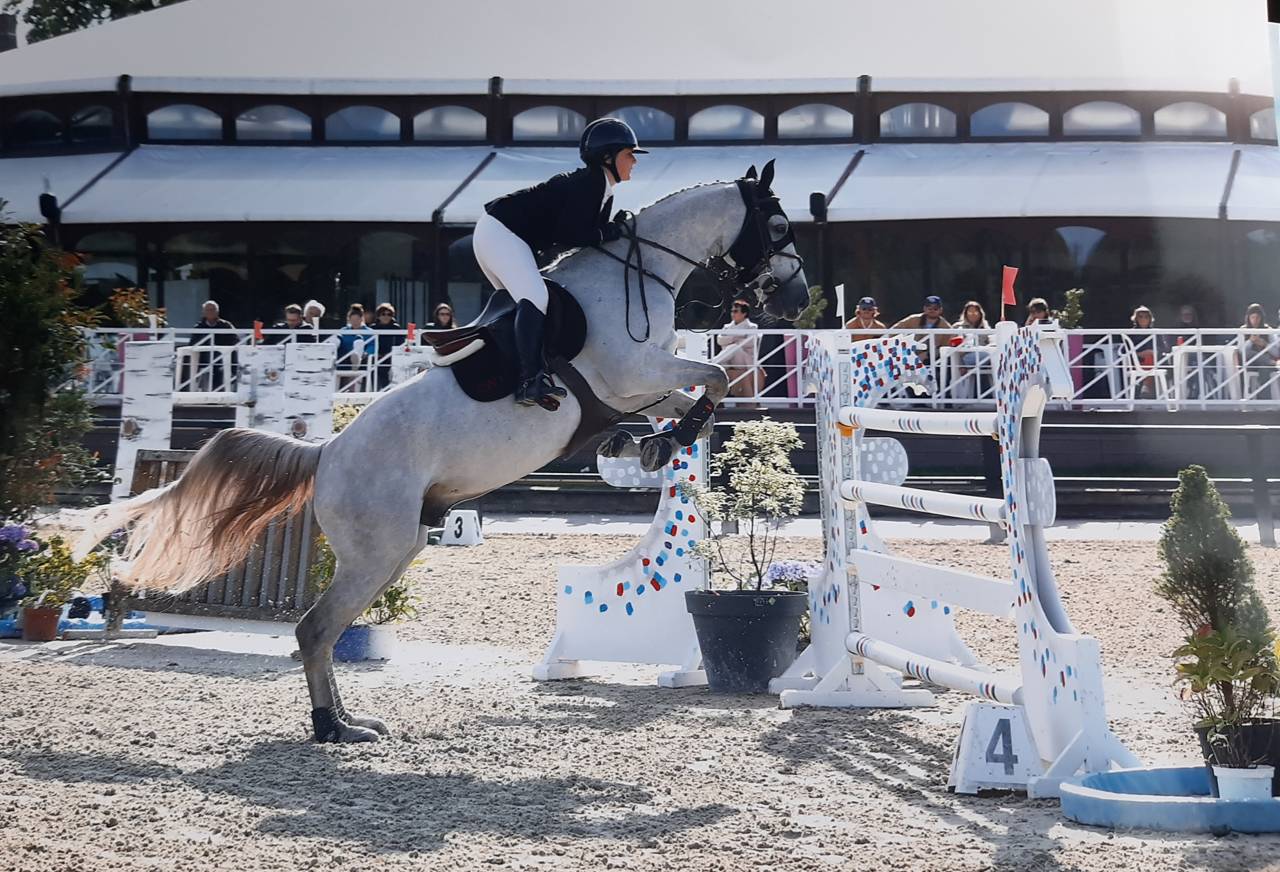 Hongre de 10 ans 140/145