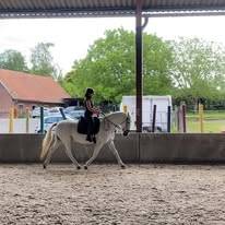 URGENT cherche apprentissage AE