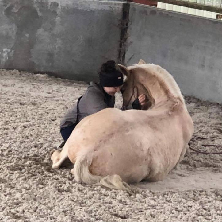 URGENT cherche apprentissage AE