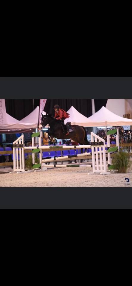 Top gentille jument pour cso, petite amateur ou club