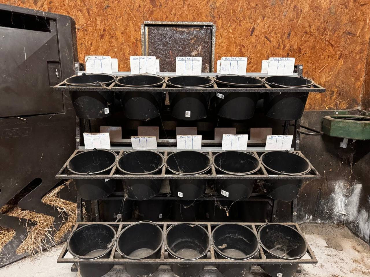 Chariot ration chevaux écurie