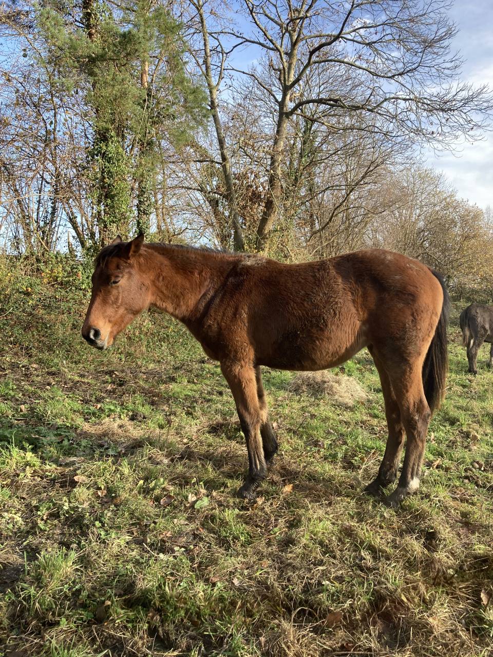 Odyss&eacute;e du Beuvron