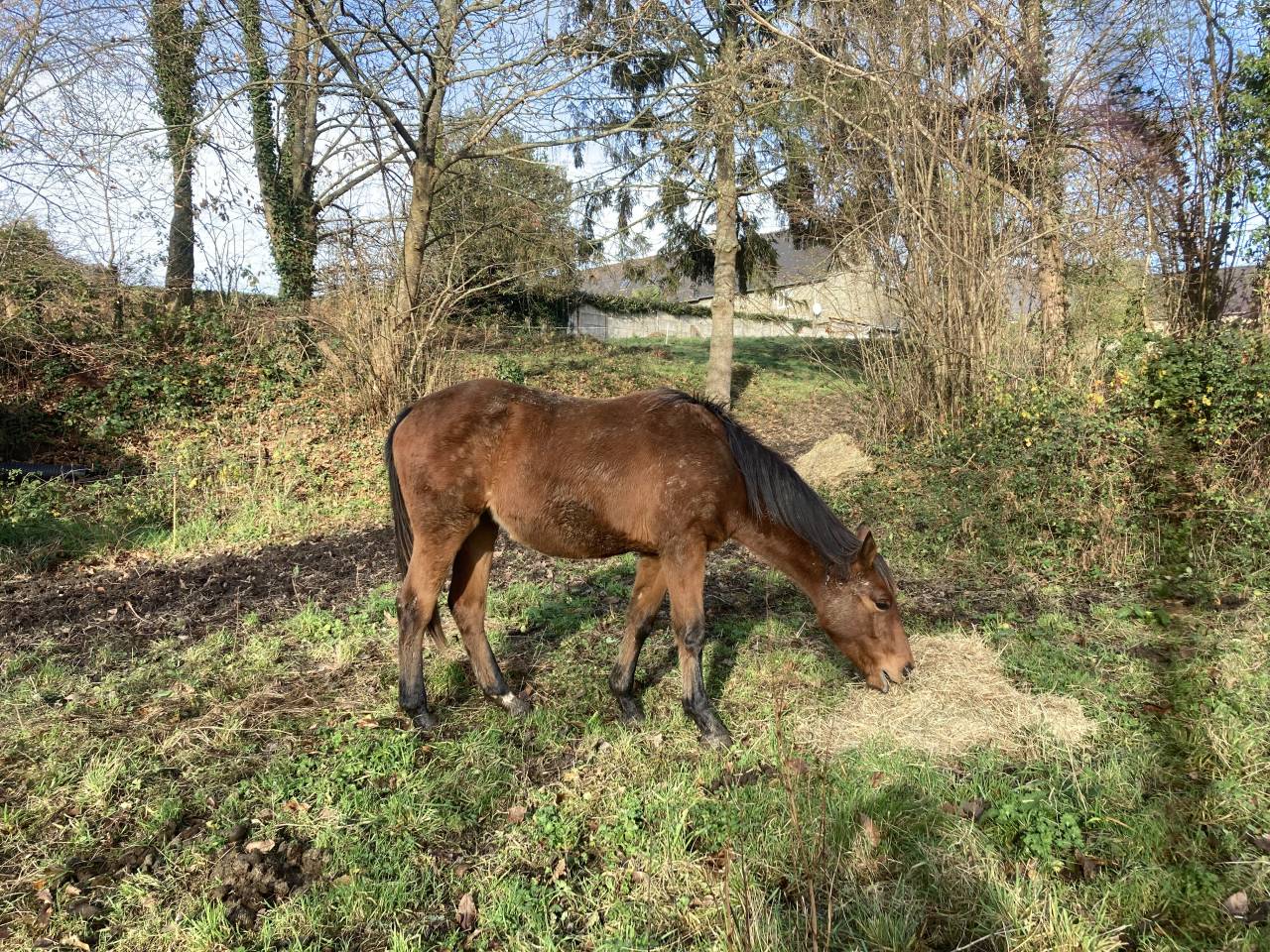 Odyss&eacute;e du Beuvron