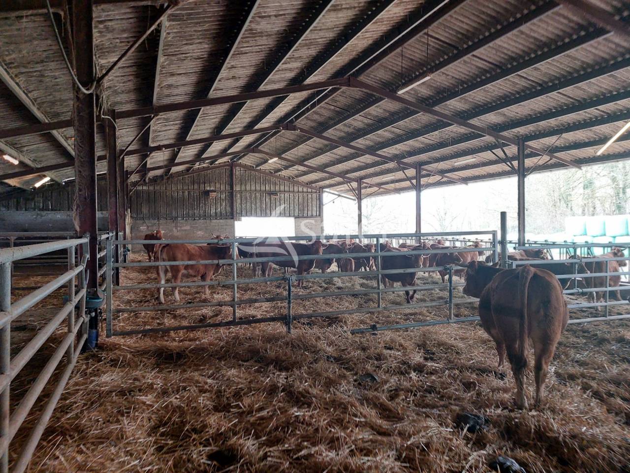 Exploitation d'élevage avec irrigation sur 75ha en vente et loc