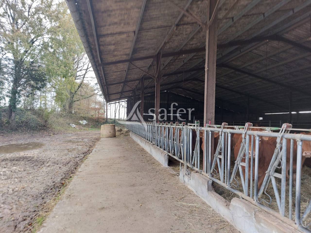 Exploitation d'élevage avec irrigation sur 75ha en vente et loc