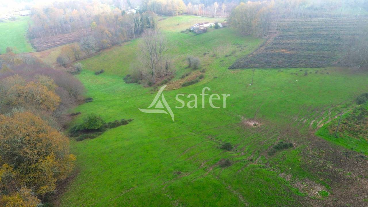 Exploitation d'&eacute;levage avec irrigation sur 75ha en vente et loc