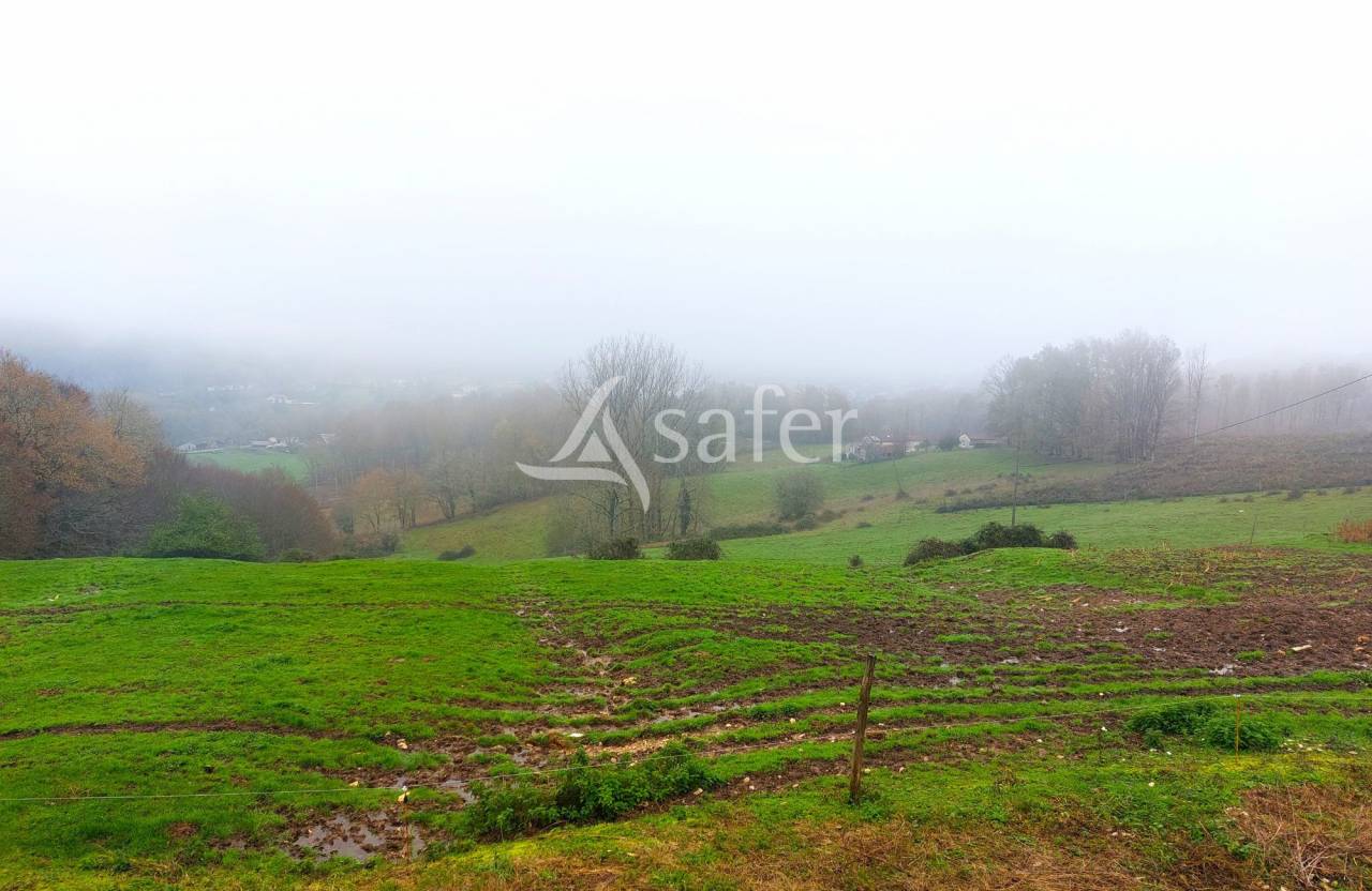 Exploitation d'&eacute;levage avec irrigation sur 75ha en vente et loc
