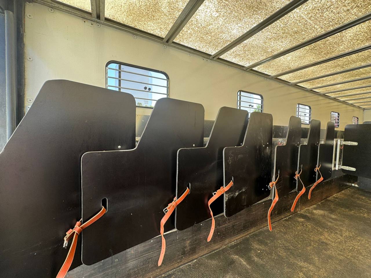 DAF – PL – 10 places chevaux 