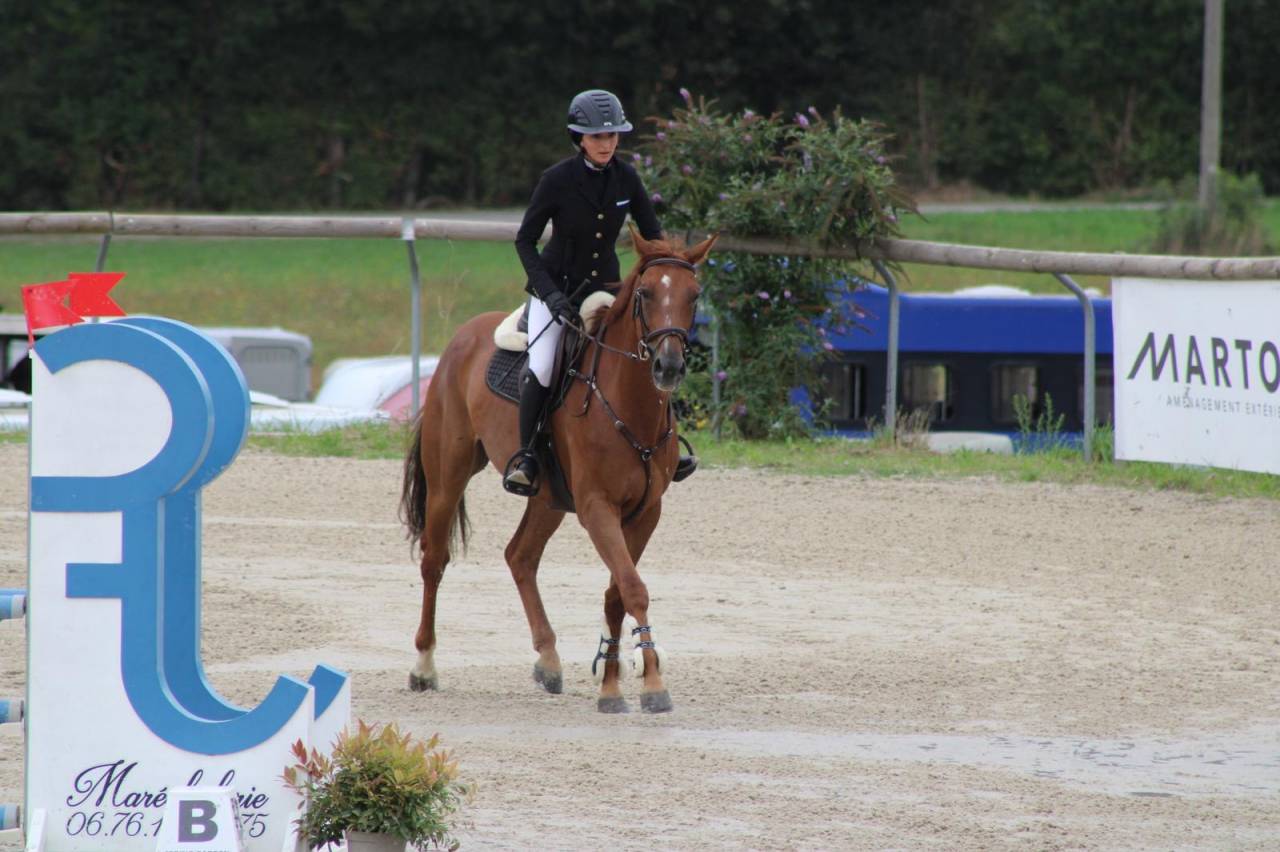 Javelot D’Izkay, hongre de 6ans 