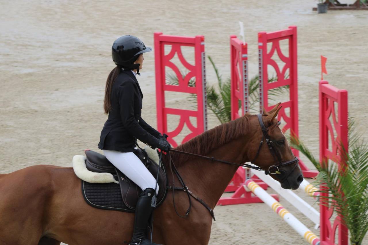 Javelot D’Izkay, hongre de 6ans 