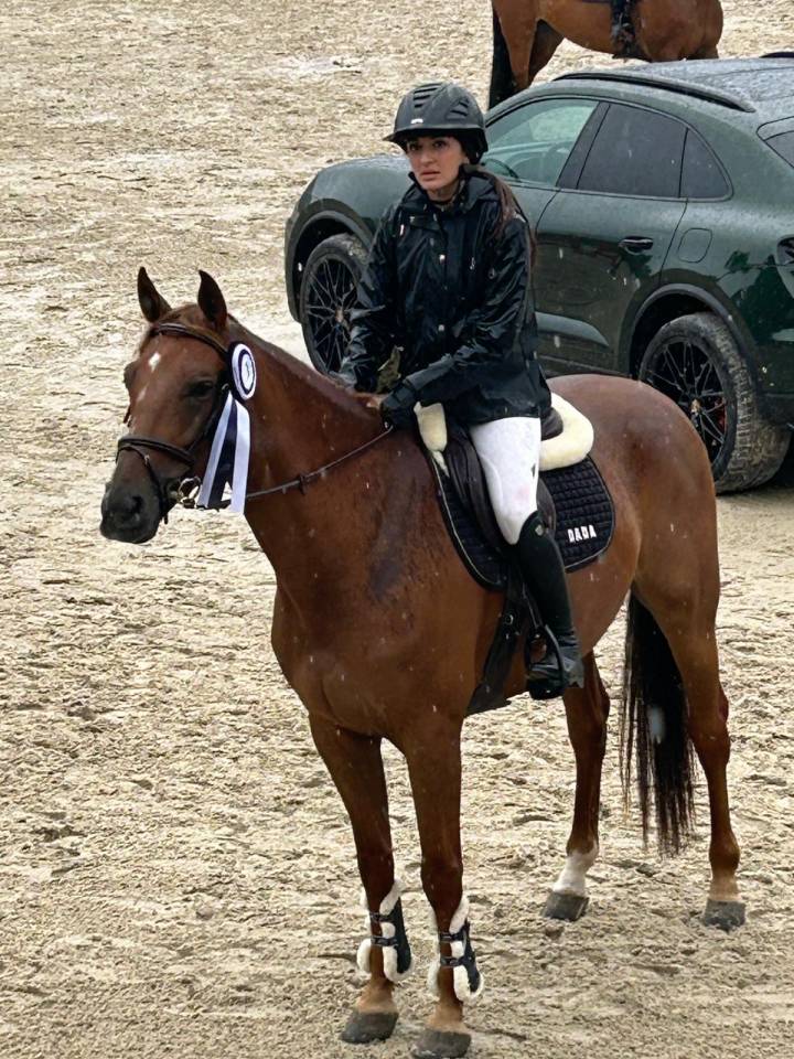 Javelot D’Izkay, hongre de 6ans 