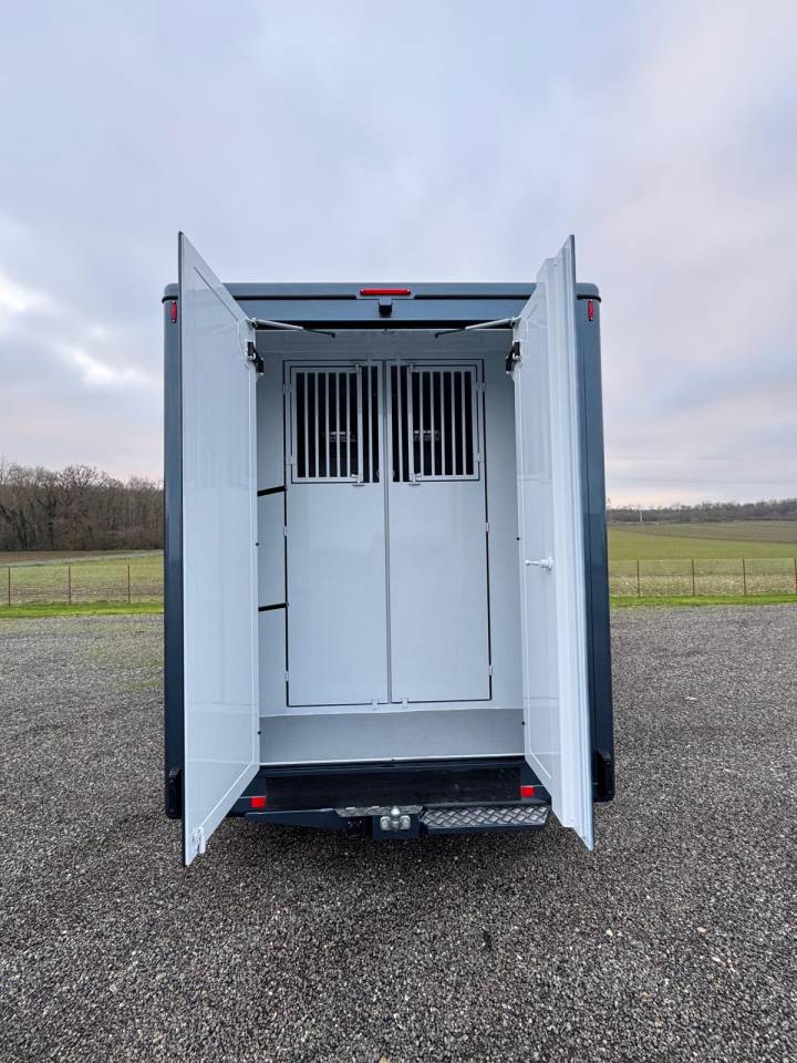 RENAULT MASTER TBST STALLE 5