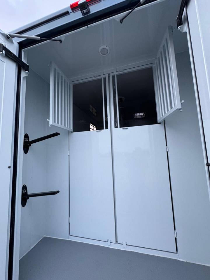 RENAULT MASTER TBST STALLE 5