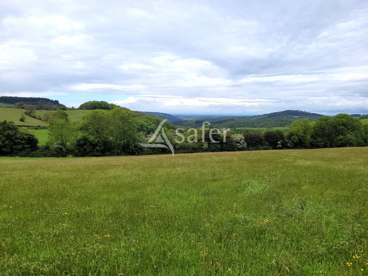 Exploitation agricole BIO 52 ha TARN Castres