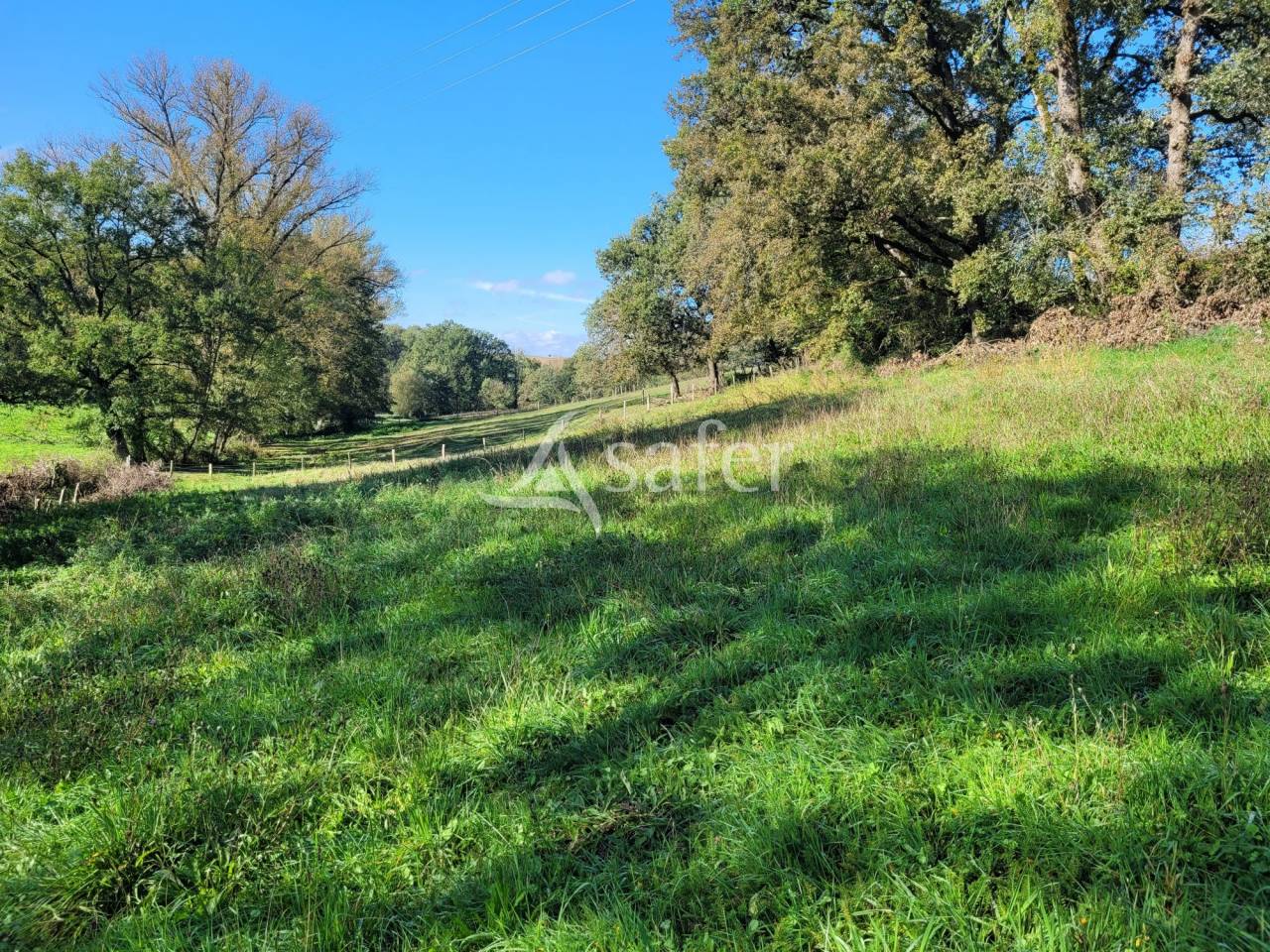 Corps de ferme 3ha50 Cordes-sur-Ciel Albi
