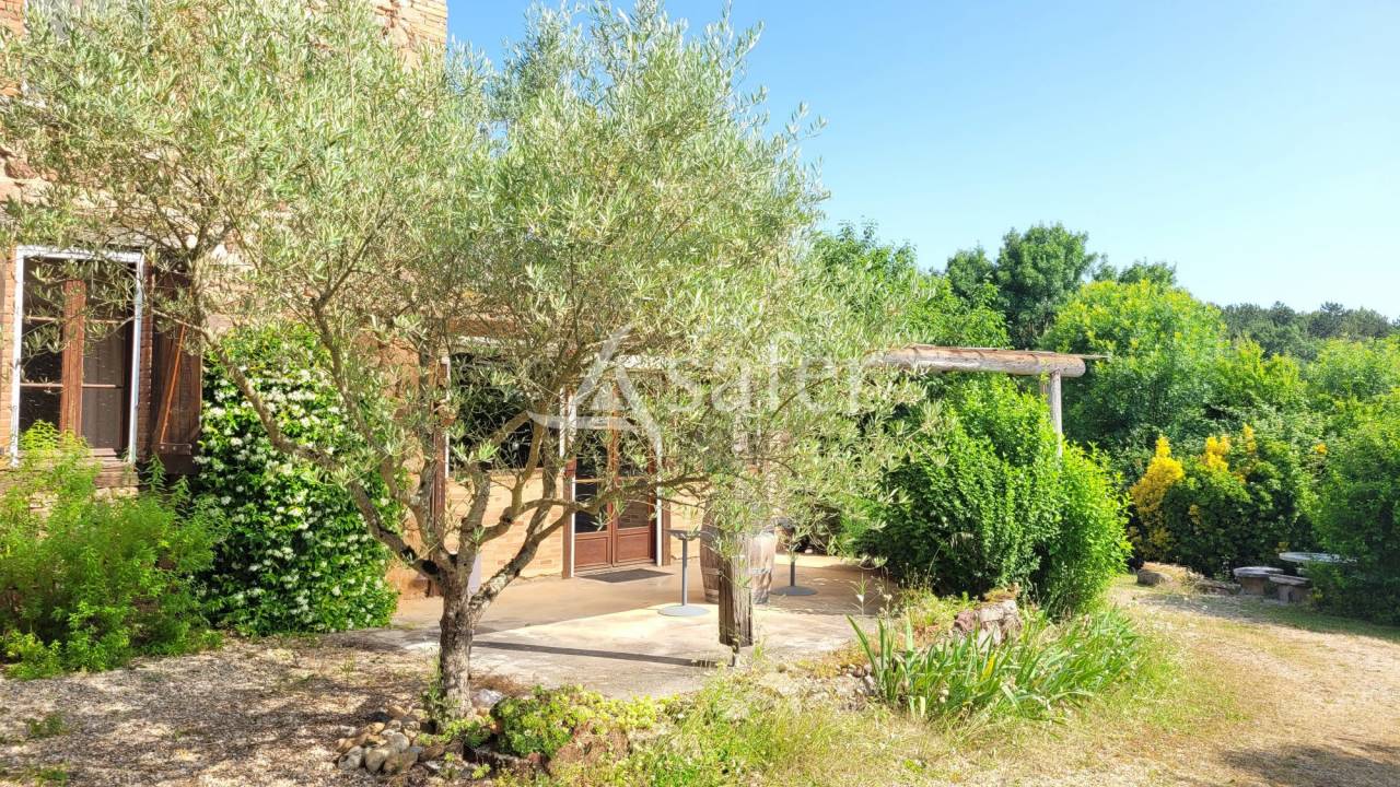 Exploitation agricole gîte 11ha Gaillac Albi Cordes sur Ciel