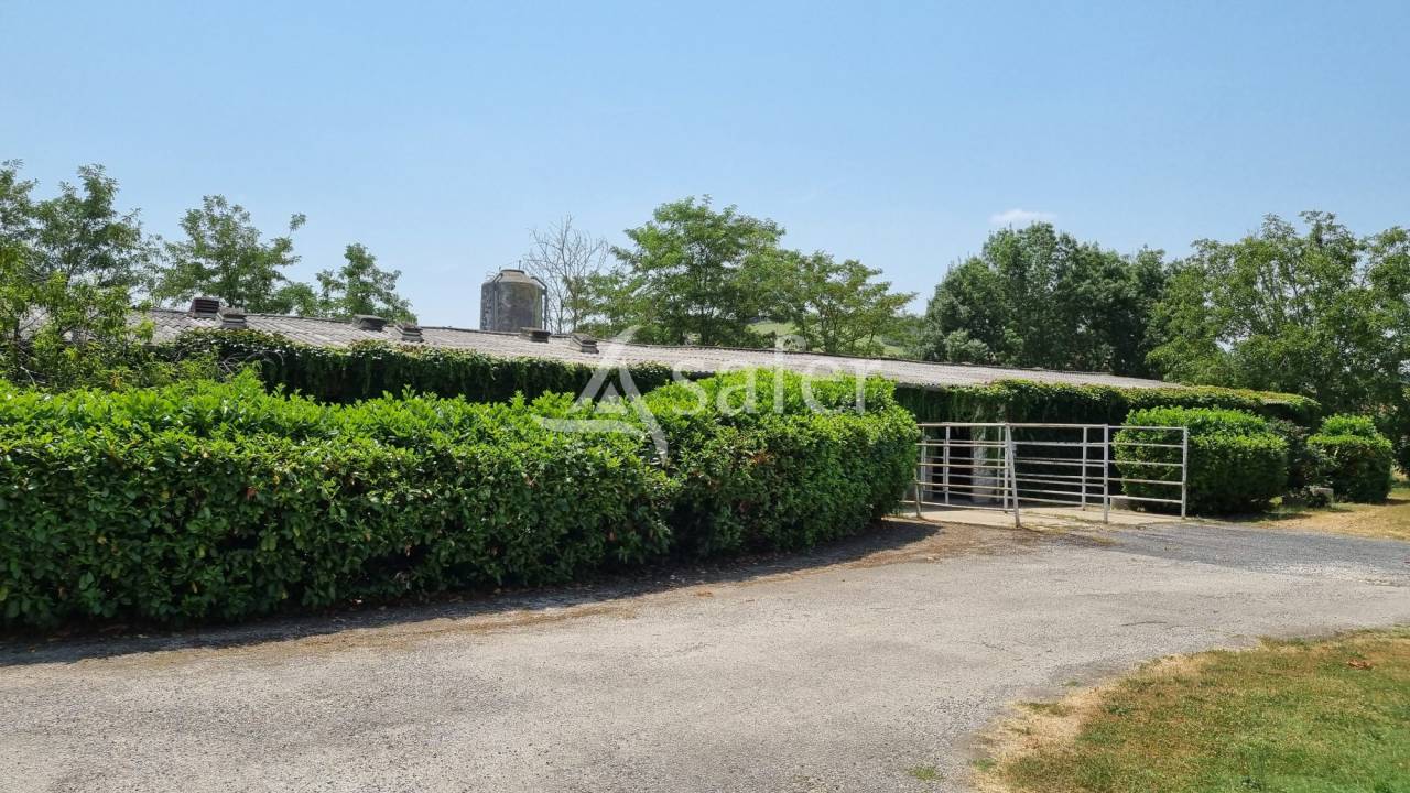 Exploitation agricole 6ha de terres Lavaur TARN