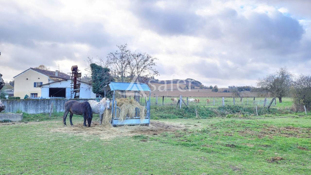 Exploitation agricole 6 ha de terres - Lavaur TARN