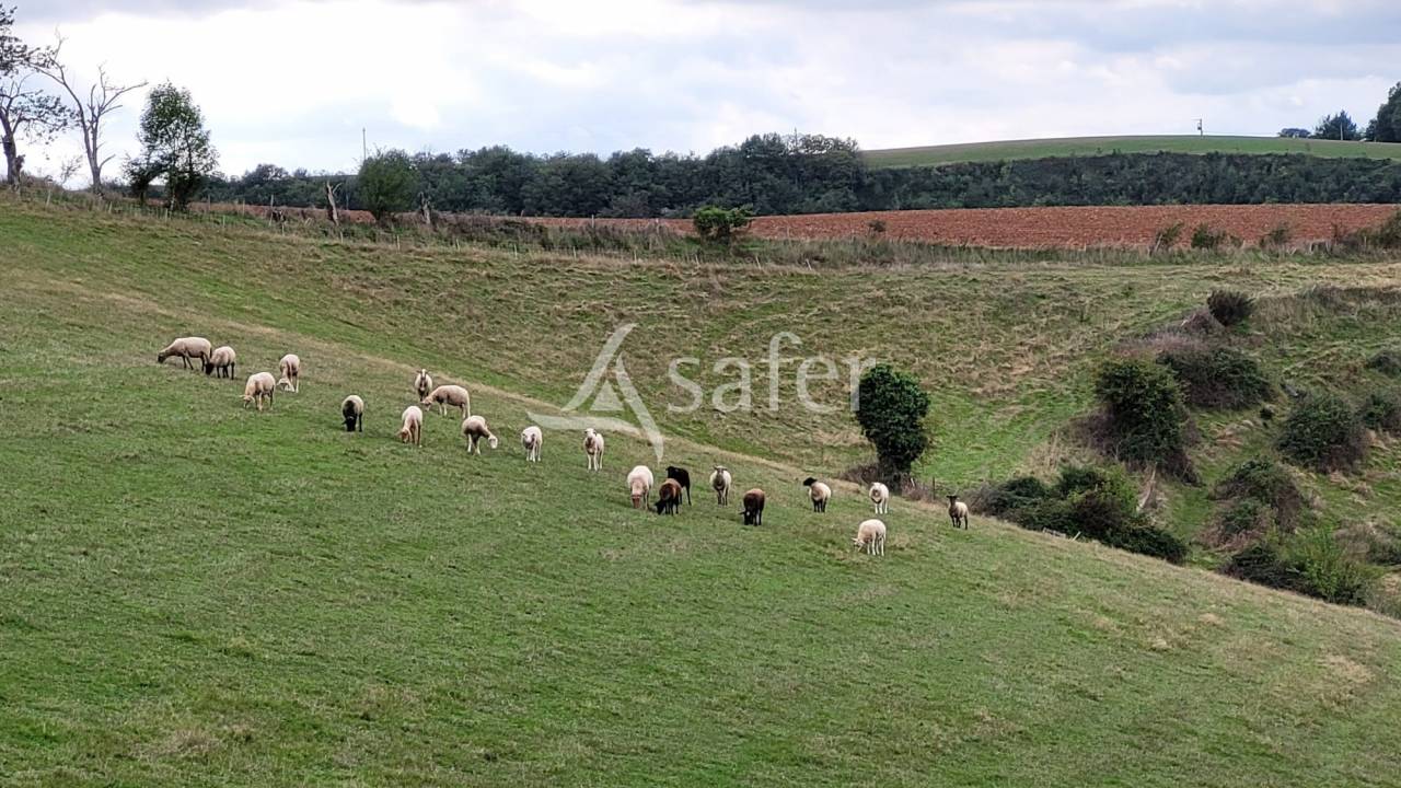 Corps de ferme 8ha 50a id&eacute;al &eacute;levage