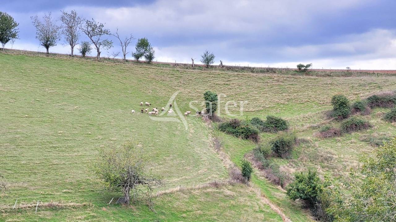 Corps de ferme 8ha 50a id&eacute;al &eacute;levage