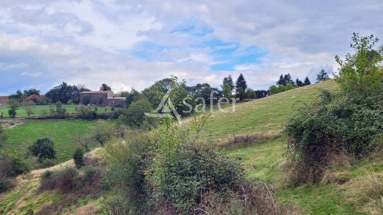 Corps de ferme 8ha 50a id&eacute;al &eacute;levage