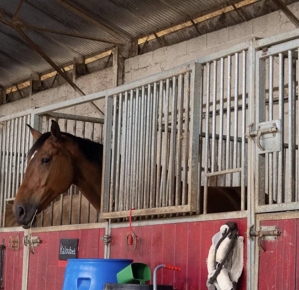 Recherche propriétaire pour pension 