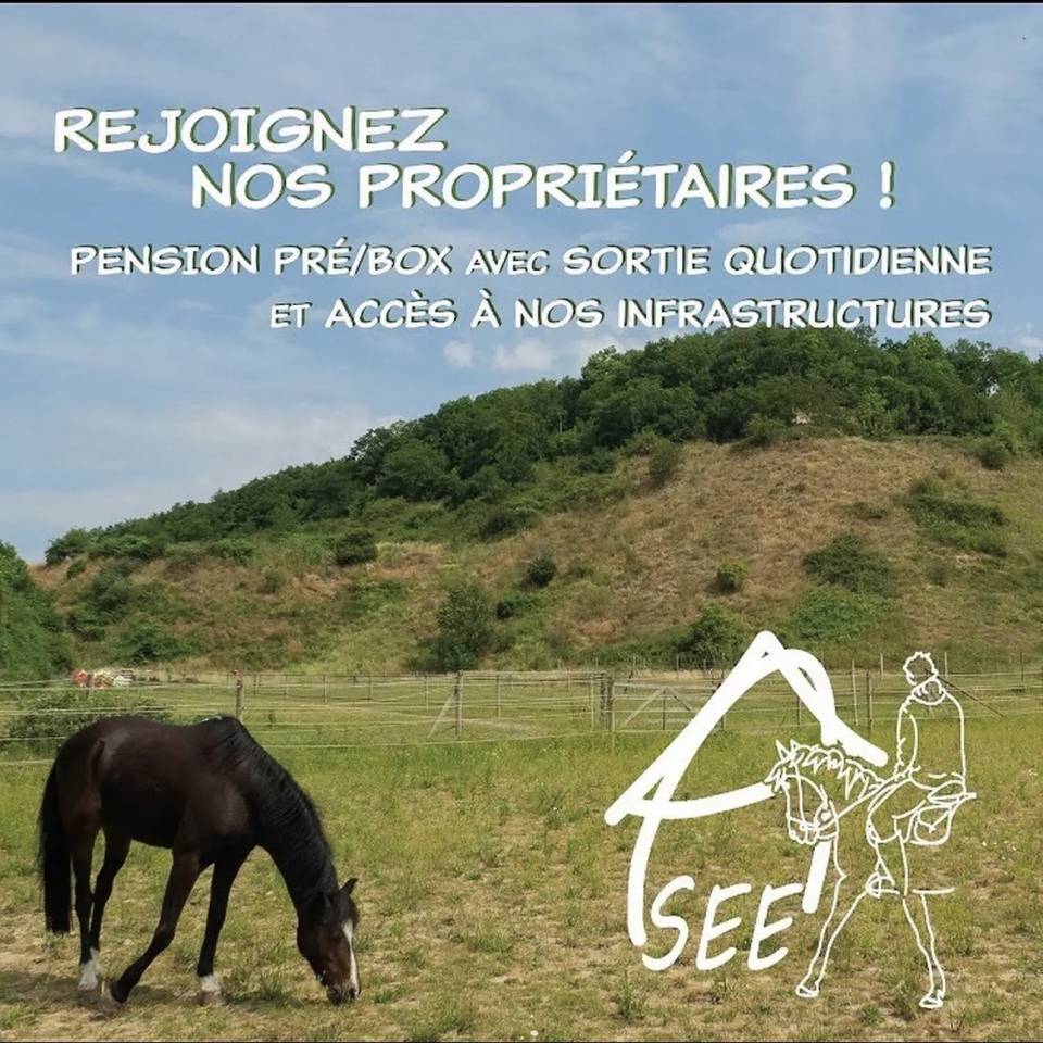 Recherche propriétaire pour pension 