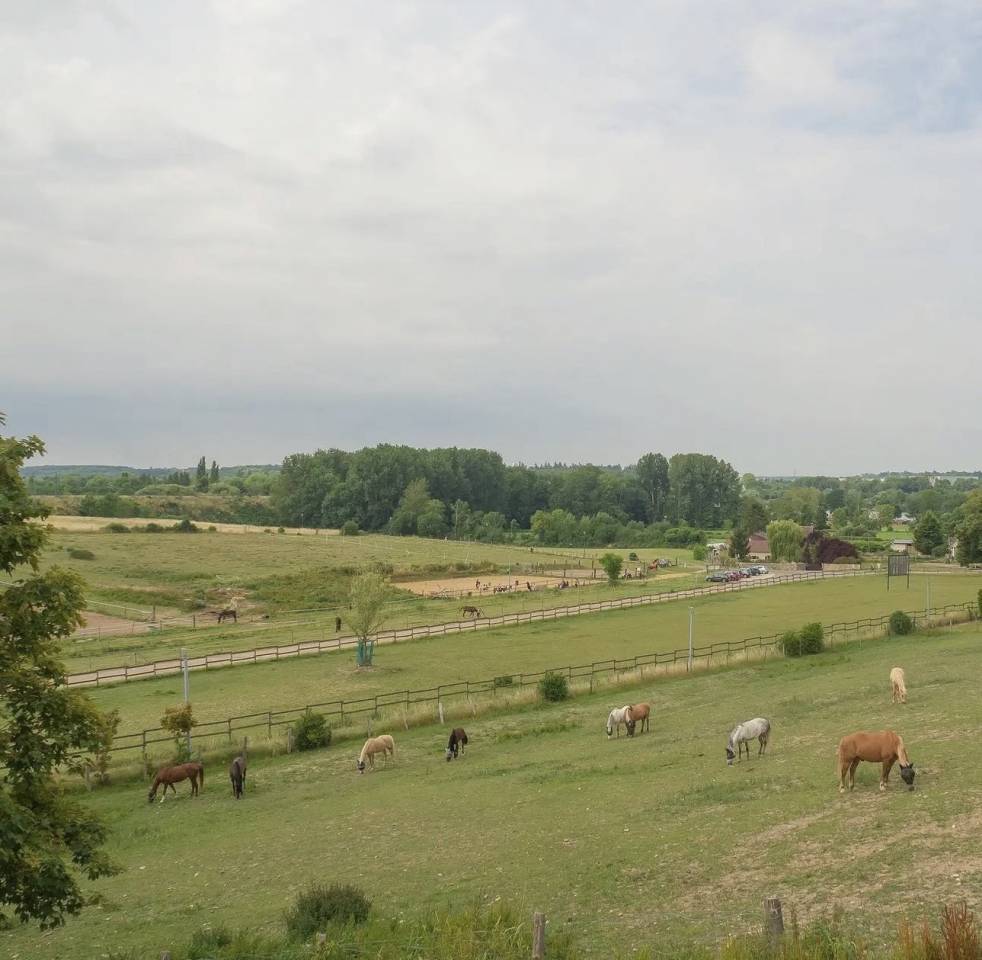 Recherche propriétaire pour pension 