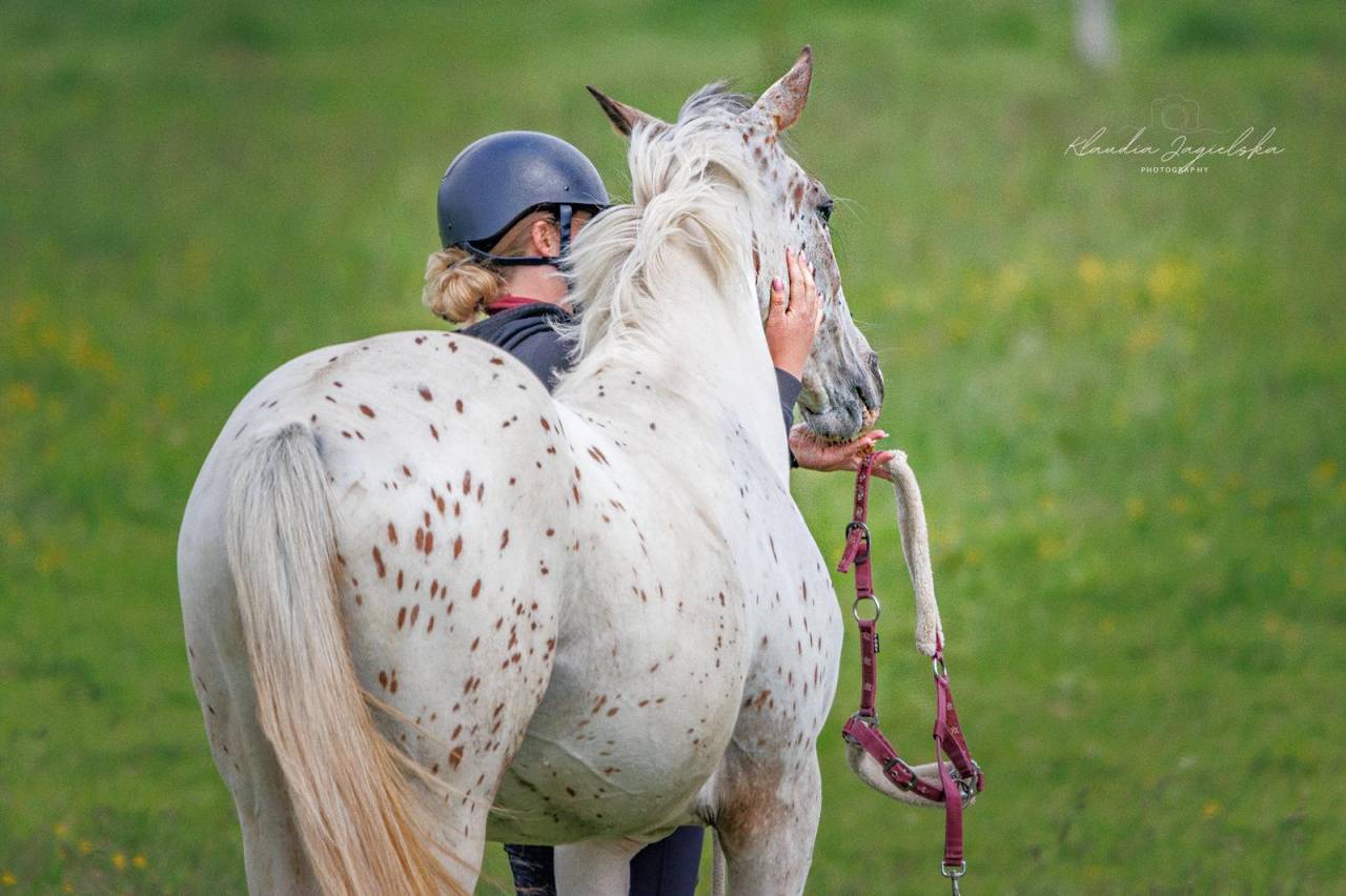 Un cheval comme un conte de fées ! 