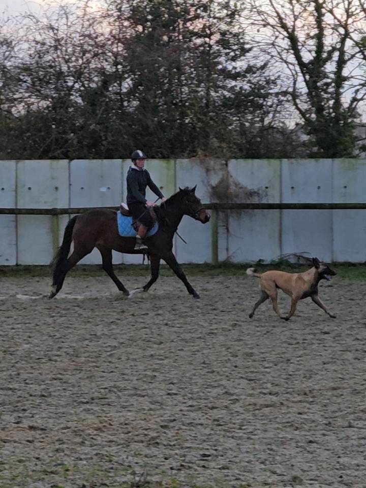 PONEY SPORT & LOISIRS PFS 4 ANS 2026